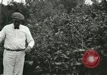 Image of wild birds United States USA, 1921, second 35 stock footage video 65675021530