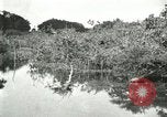 Image of wild birds United States USA, 1921, second 37 stock footage video 65675021530
