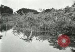 Image of wild birds United States USA, 1921, second 44 stock footage video 65675021530