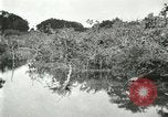 Image of wild birds United States USA, 1921, second 45 stock footage video 65675021530