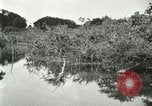 Image of wild birds United States USA, 1921, second 47 stock footage video 65675021530