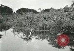 Image of wild birds United States USA, 1921, second 48 stock footage video 65675021530