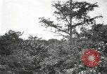 Image of wild birds United States USA, 1921, second 50 stock footage video 65675021530