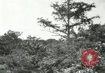 Image of wild birds United States USA, 1921, second 53 stock footage video 65675021530