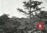 Image of wild birds United States USA, 1921, second 56 stock footage video 65675021530
