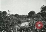 Image of wild birds United States USA, 1921, second 62 stock footage video 65675021530
