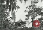 Image les oiseaux sauvages United States USA, 1921, de la seconde 11 séquences d'archives historiques vidéo 65675021531