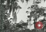 Image les oiseaux sauvages United States USA, 1921, de la seconde 12 séquences d'archives historiques vidéo 65675021531