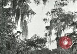 Image les oiseaux sauvages United States USA, 1921, de la seconde 13 séquences d'archives historiques vidéo 65675021531