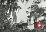 Image les oiseaux sauvages United States USA, 1921, de la seconde 15 séquences d'archives historiques vidéo 65675021531
