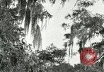 Image les oiseaux sauvages United States USA, 1921, de la seconde 32 séquences d'archives historiques vidéo 65675021531