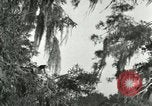 Image les oiseaux sauvages United States USA, 1921, de la seconde 45 séquences d'archives historiques vidéo 65675021531