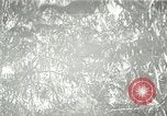 Standbild wildlebenden Vogelarten United States USA, 1921, aus Sekunde 46 historischem Filmmaterial Videoclip 65675021532