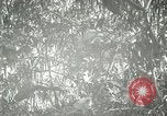 Standbild wildlebenden Vogelarten United States USA, 1921, aus Sekunde 59 historischem Filmmaterial Videoclip 65675021532