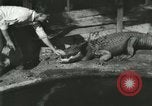 Standbild Alligator Farm Washington DC USA, 1916, aus Sekunde 12 historischem Filmmaterial Videoclip 65675021534