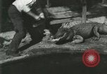 Standbild Alligator Farm Washington DC USA, 1916, aus Sekunde 14 historischem Filmmaterial Videoclip 65675021534