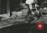 Standbild Alligator Farm Washington DC USA, 1916, aus Sekunde 15 historischem Filmmaterial Videoclip 65675021534