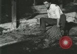 Standbild Alligator Farm Washington DC USA, 1916, aus Sekunde 17 historischem Filmmaterial Videoclip 65675021534