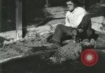 Standbild Alligator Farm Washington DC USA, 1916, aus Sekunde 18 historischem Filmmaterial Videoclip 65675021534