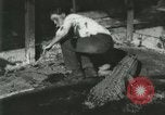 Standbild Alligator Farm Washington DC USA, 1916, aus Sekunde 19 historischem Filmmaterial Videoclip 65675021534