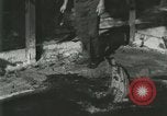 Standbild Alligator Farm Washington DC USA, 1916, aus Sekunde 20 historischem Filmmaterial Videoclip 65675021534