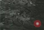 Standbild Alligator Farm Washington DC USA, 1916, aus Sekunde 26 historischem Filmmaterial Videoclip 65675021534