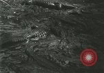 Standbild Alligator Farm Washington DC USA, 1916, aus Sekunde 27 historischem Filmmaterial Videoclip 65675021534
