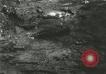 Standbild Alligator Farm Washington DC USA, 1916, aus Sekunde 37 historischem Filmmaterial Videoclip 65675021534