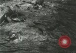 Standbild Alligator Farm Washington DC USA, 1916, aus Sekunde 38 historischem Filmmaterial Videoclip 65675021534