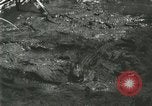 Standbild Alligator Farm Washington DC USA, 1916, aus Sekunde 41 historischem Filmmaterial Videoclip 65675021534