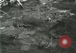 Standbild Alligator Farm Washington DC USA, 1916, aus Sekunde 42 historischem Filmmaterial Videoclip 65675021534