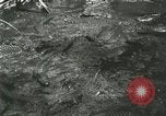 Standbild Alligator Farm Washington DC USA, 1916, aus Sekunde 44 historischem Filmmaterial Videoclip 65675021534