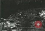Standbild Alligator Farm Washington DC USA, 1916, aus Sekunde 47 historischem Filmmaterial Videoclip 65675021534