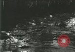Standbild Alligator Farm Washington DC USA, 1916, aus Sekunde 48 historischem Filmmaterial Videoclip 65675021534