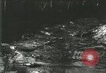 Standbild Alligator Farm Washington DC USA, 1916, aus Sekunde 49 historischem Filmmaterial Videoclip 65675021534