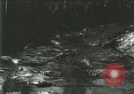 Standbild Alligator Farm Washington DC USA, 1916, aus Sekunde 50 historischem Filmmaterial Videoclip 65675021534