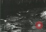 Standbild Alligator Farm Washington DC USA, 1916, aus Sekunde 51 historischem Filmmaterial Videoclip 65675021534