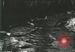 Standbild Alligator Farm Washington DC USA, 1916, aus Sekunde 52 historischem Filmmaterial Videoclip 65675021534