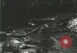 Standbild Alligator Farm Washington DC USA, 1916, aus Sekunde 54 historischem Filmmaterial Videoclip 65675021534