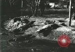 Standbild Alligator Farm Washington DC USA, 1916, aus Sekunde 56 historischem Filmmaterial Videoclip 65675021534