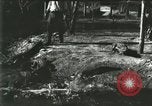 Standbild Alligator Farm Washington DC USA, 1916, aus Sekunde 59 historischem Filmmaterial Videoclip 65675021534