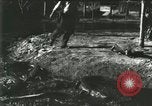 Standbild Alligator Farm Washington DC USA, 1916, aus Sekunde 60 historischem Filmmaterial Videoclip 65675021534