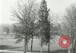 Image of President Warren G Harding Washington DC USA, 1921, second 19 stock footage video 65675021535