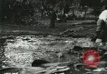 Standbild Alligator Farm Washington DC USA, 1916, aus Sekunde 5 historischem Filmmaterial Videoclip 65675021536