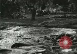 Standbild Alligator Farm Washington DC USA, 1916, aus Sekunde 6 historischem Filmmaterial Videoclip 65675021536