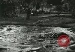 Standbild Alligator Farm Washington DC USA, 1916, aus Sekunde 7 historischem Filmmaterial Videoclip 65675021536