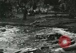 Standbild Alligator Farm Washington DC USA, 1916, aus Sekunde 8 historischem Filmmaterial Videoclip 65675021536