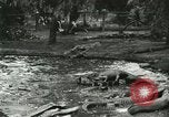Standbild Alligator Farm Washington DC USA, 1916, aus Sekunde 9 historischem Filmmaterial Videoclip 65675021536