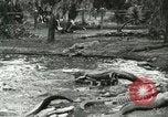 Standbild Alligator Farm Washington DC USA, 1916, aus Sekunde 10 historischem Filmmaterial Videoclip 65675021536