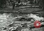 Standbild Alligator Farm Washington DC USA, 1916, aus Sekunde 11 historischem Filmmaterial Videoclip 65675021536